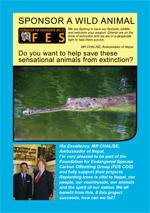 Sponsor a Gharial