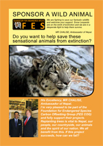 Sponsor a Snow Leopard