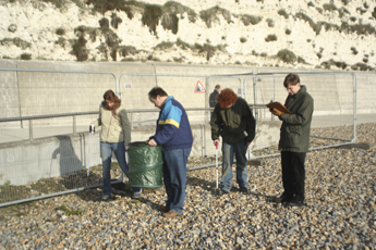 Beach Cleaning