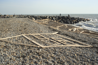 Beach Clean?