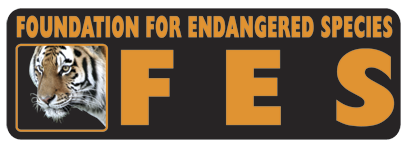 FES Logo