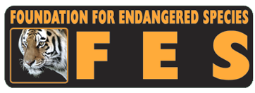 FES Logo